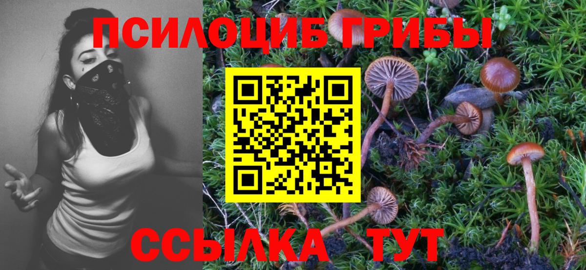 Елец  Псилоцибиновые грибы прущие грибы  Псилоцибиновые грибы мухоморы  Вход с VPN 